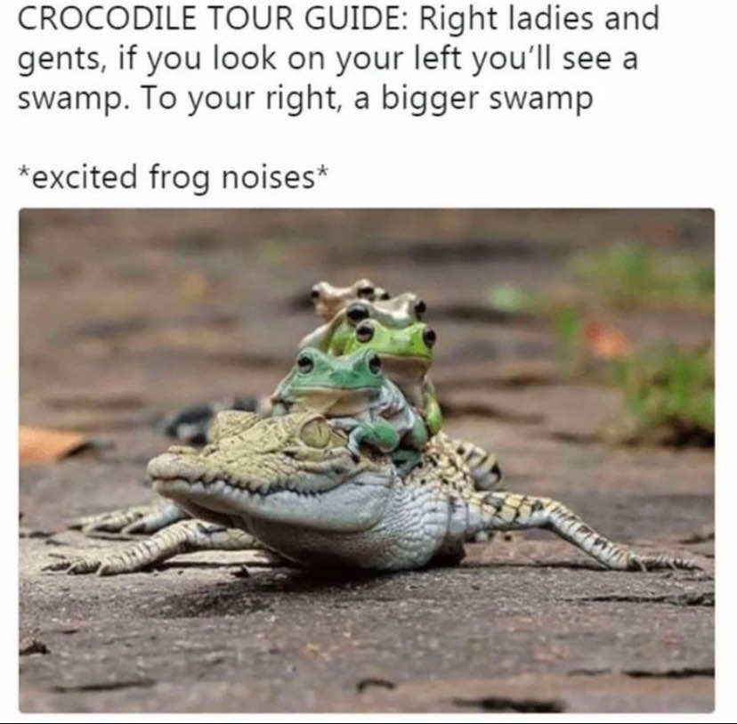 1739267798482.png
