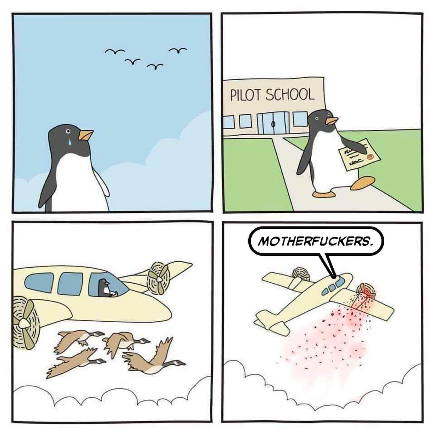 1739856164476.jpeg