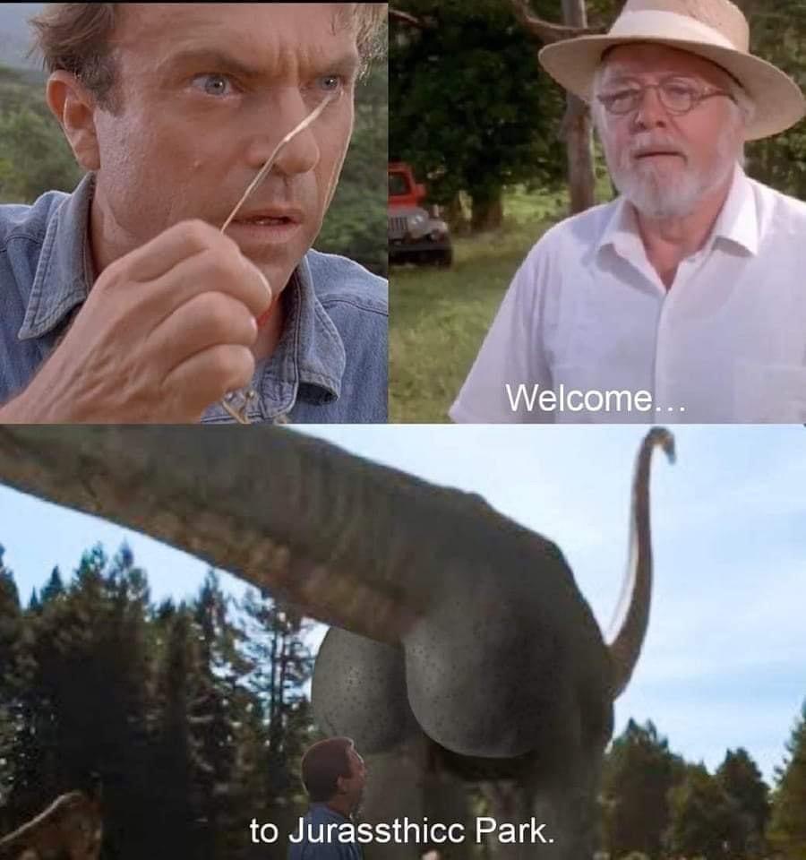1739895301520.jpeg