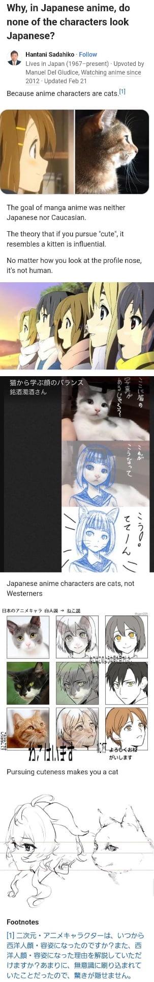 1739903089893.jpeg