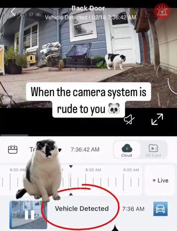 1740663108364.png