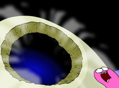 1740694531796.gif