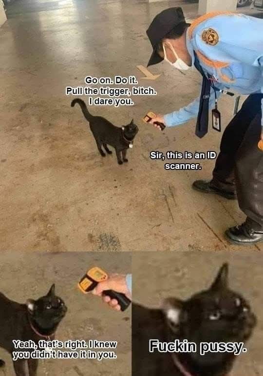 1740734651718.jpeg