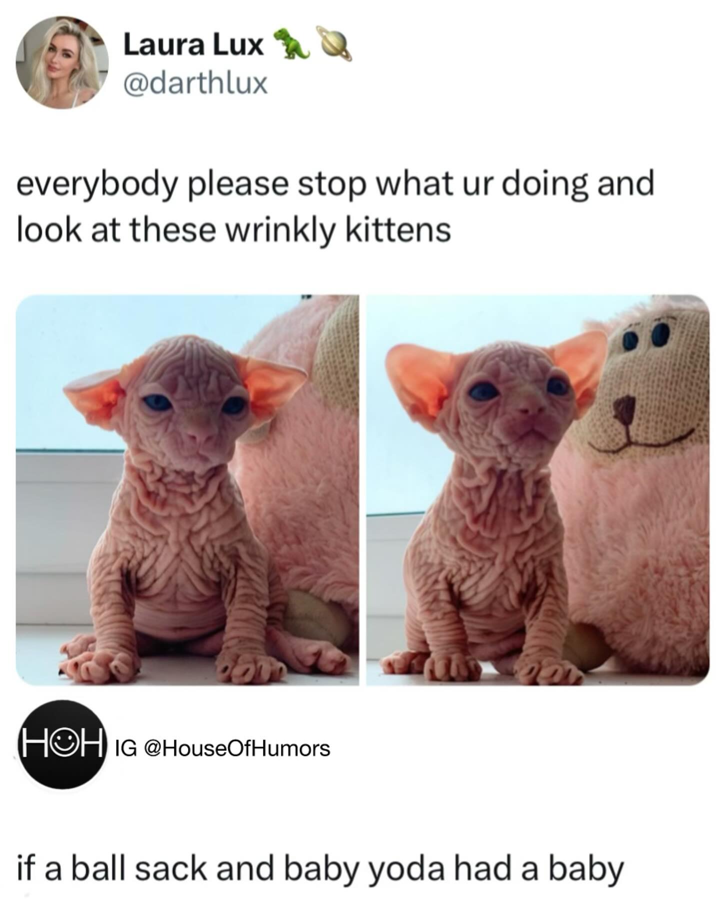 1740903513292.jpeg