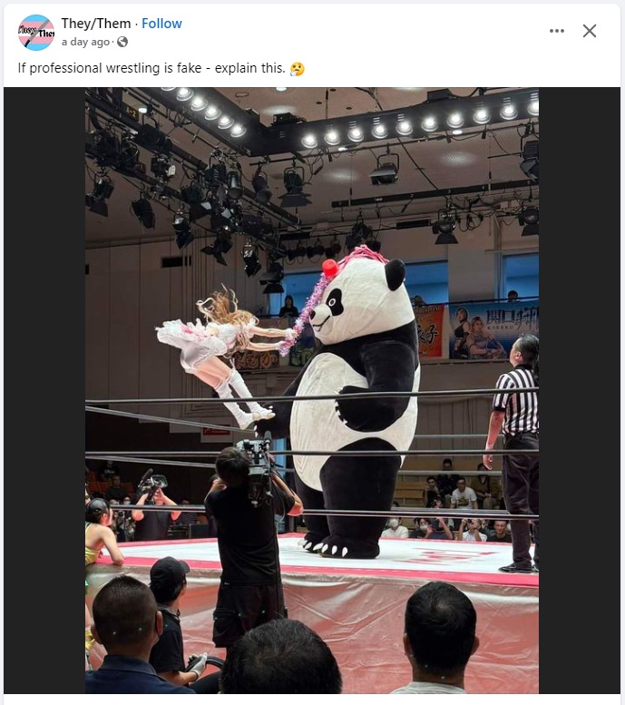 1741032648599.jpeg