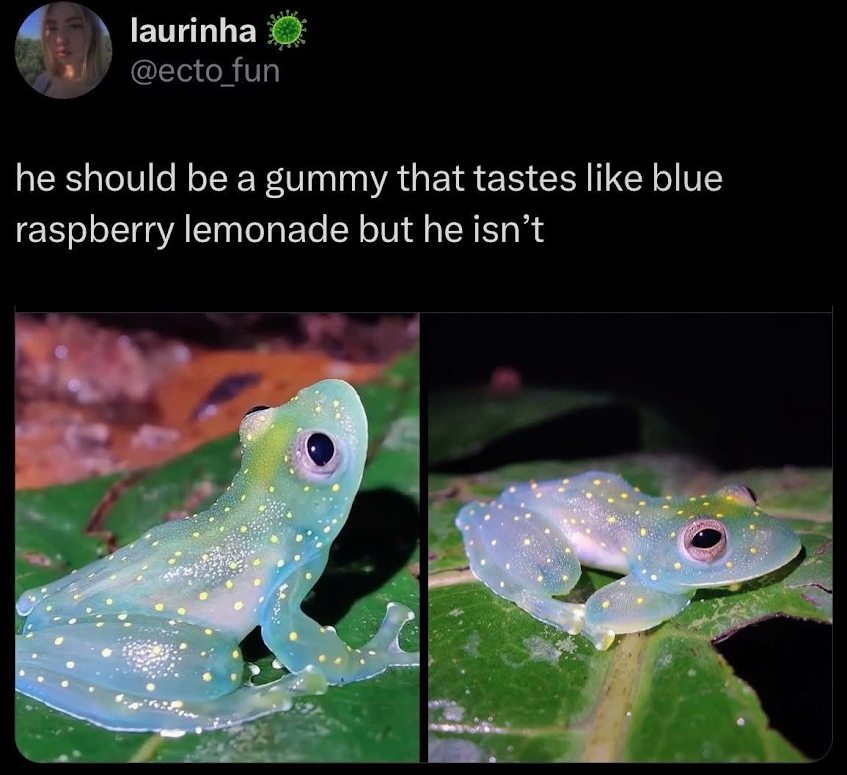 1741044701636.png