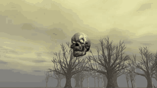 1741117405860.png