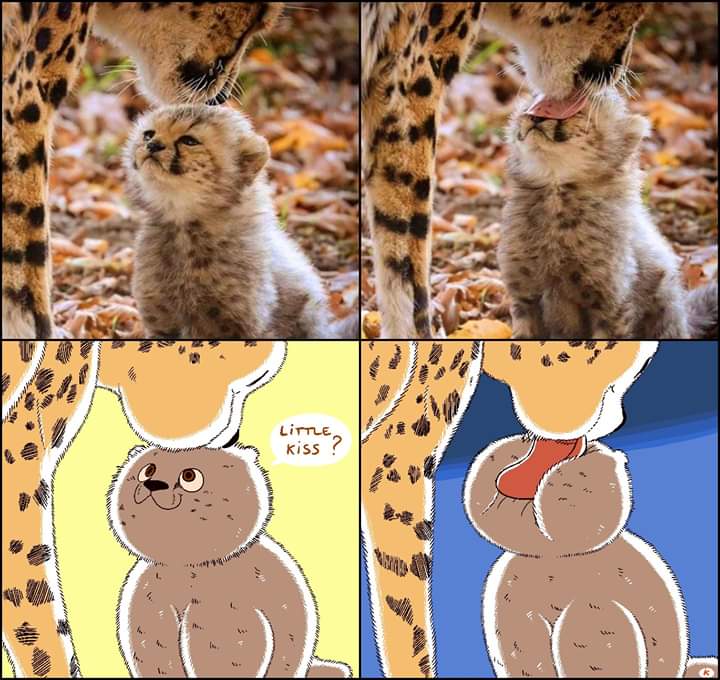 1741335974702.jpeg