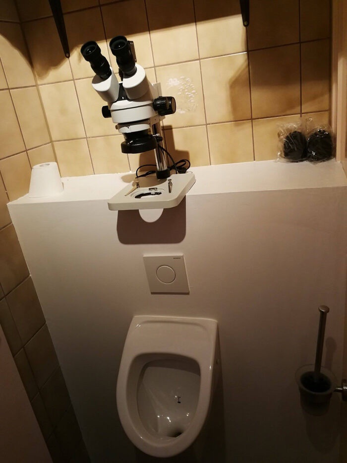 1741350605630.jpeg