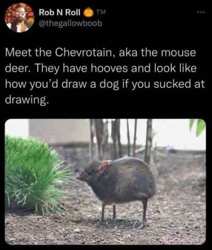 1741363431707.png