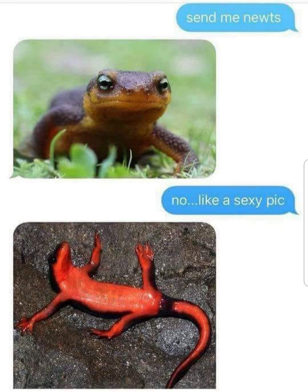 1741459906904.png