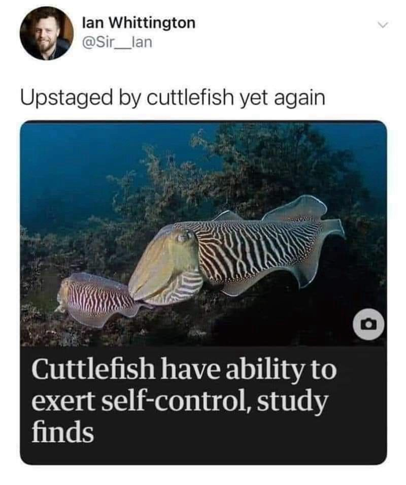 1741461818427.png