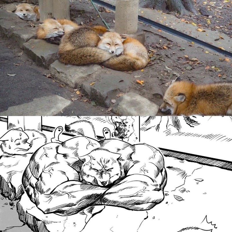 1741507061111.jpeg