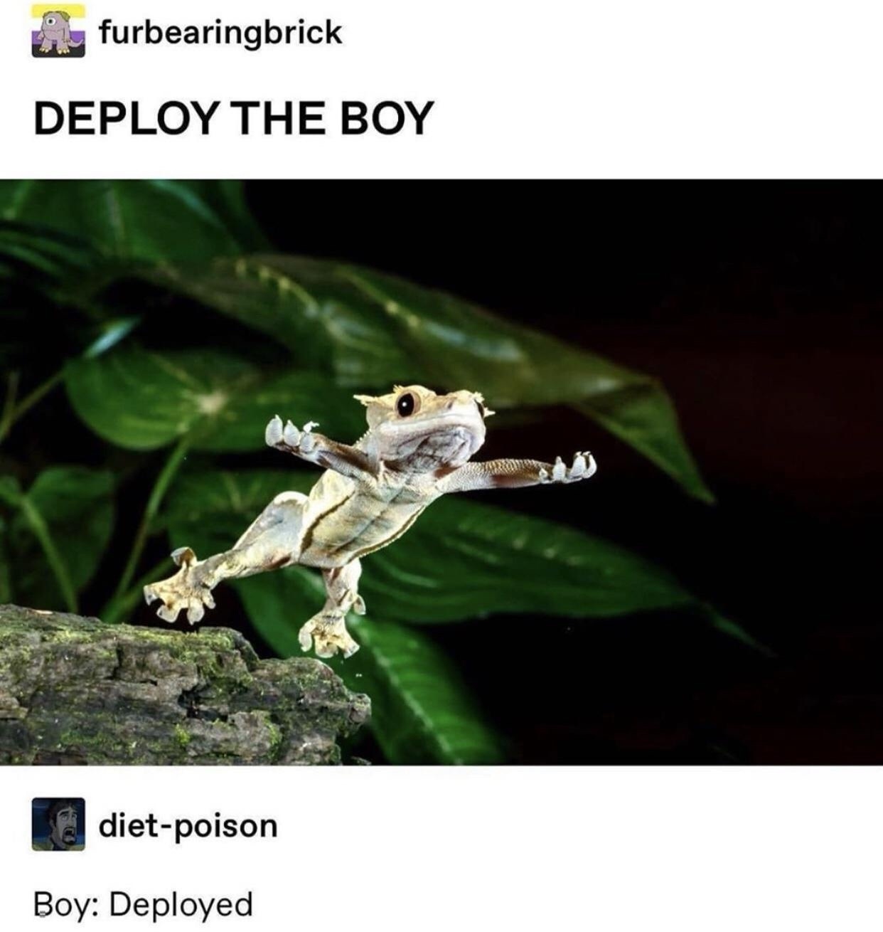 1741510387589.jpeg