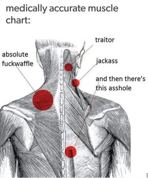 1741548024082.png