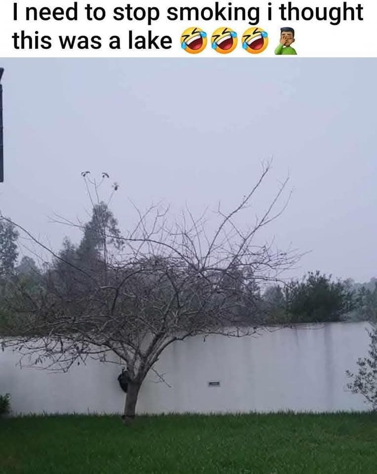 1741723678905.jpeg