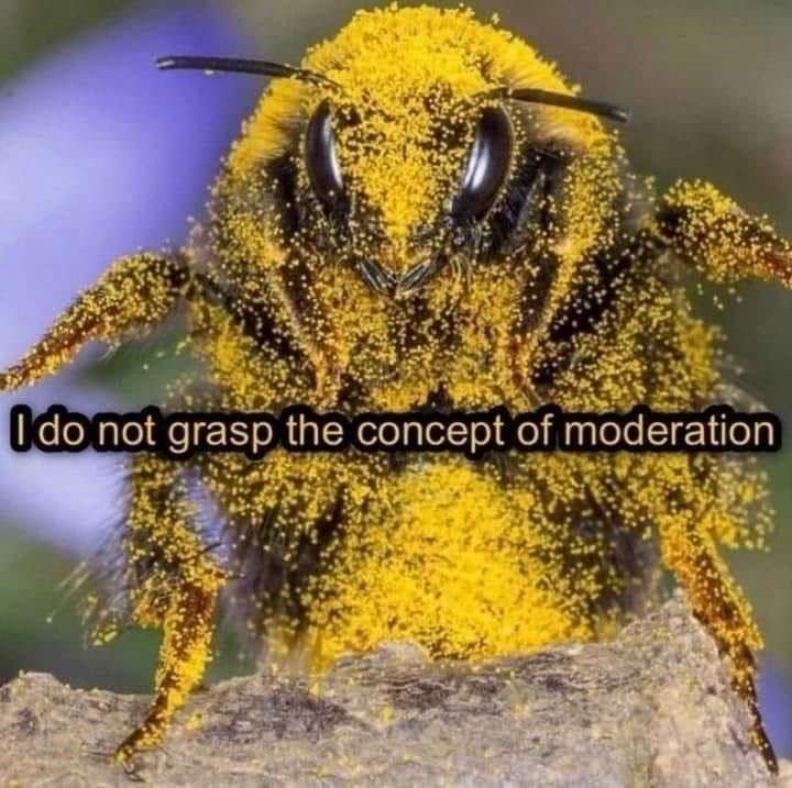 1741765794339.jpeg