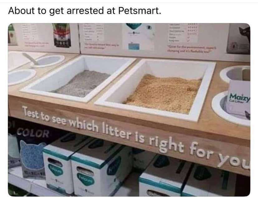 1742066564963.png