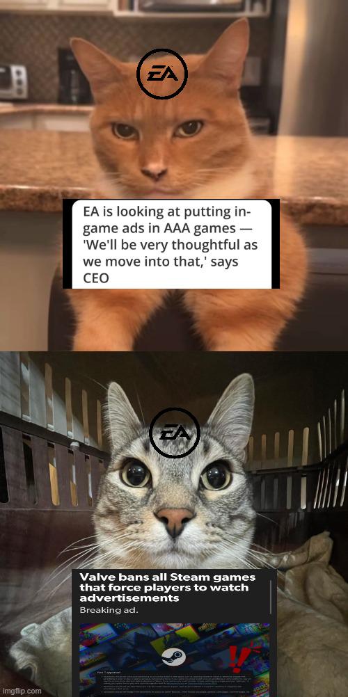1742398232981.jpeg
