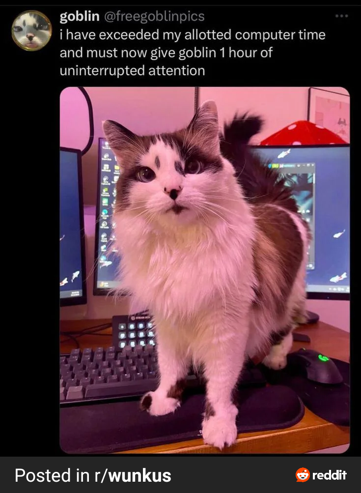 1742409172776.png