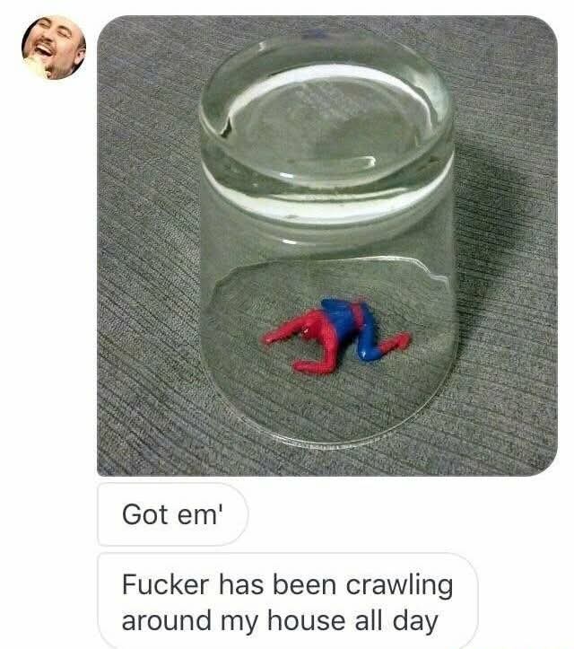 1742461236722.jpeg