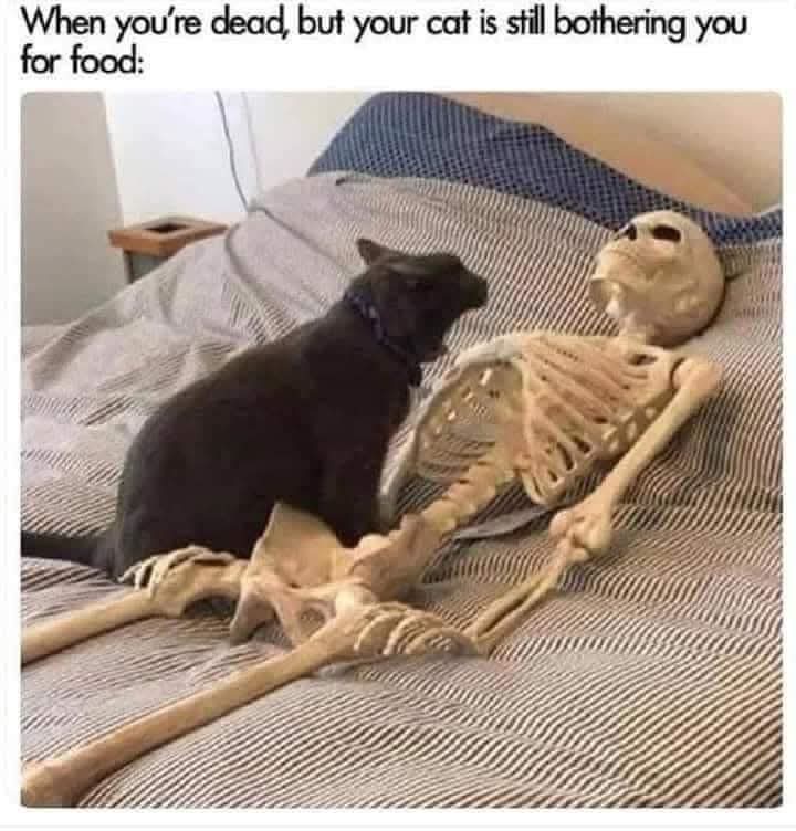 1742712898690.jpeg