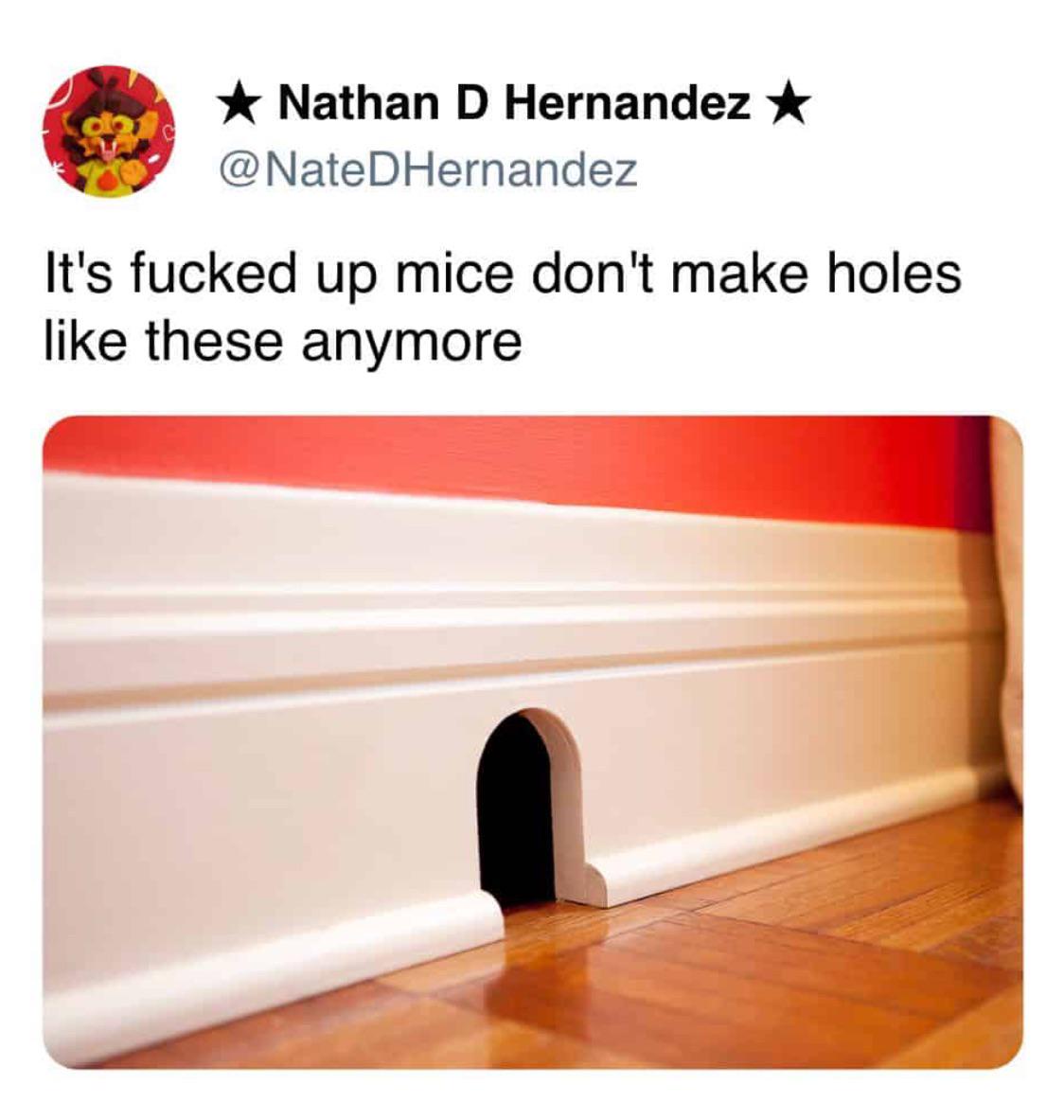 1742829180972.jpeg