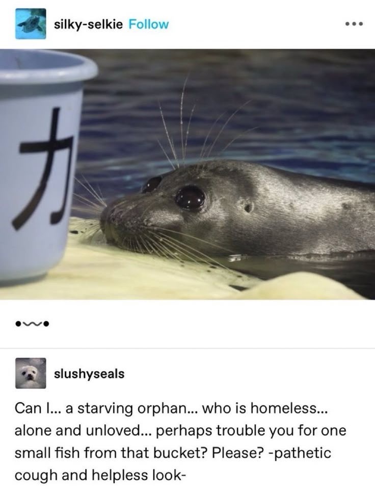 1742839188894.jpeg