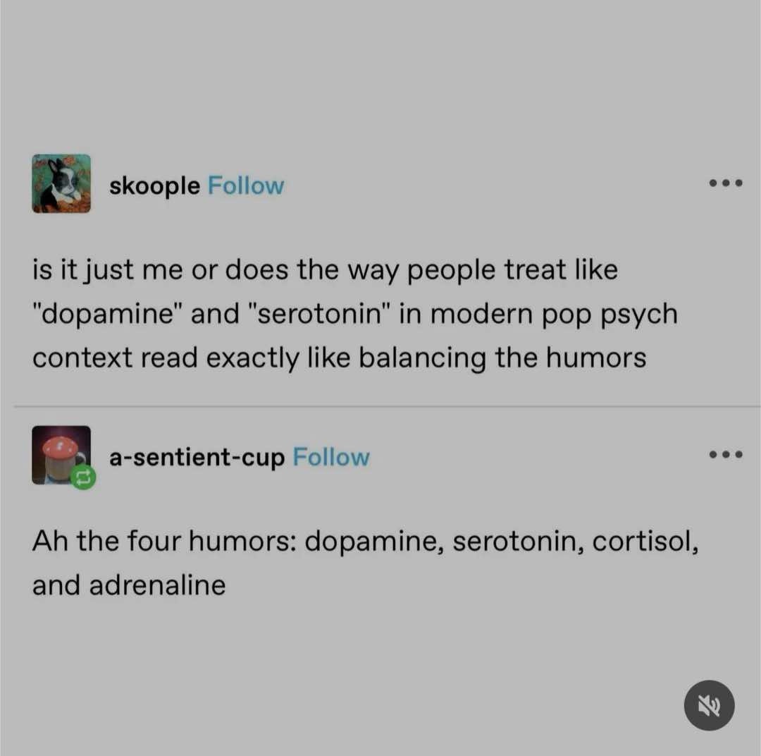 1742852271284.jpeg