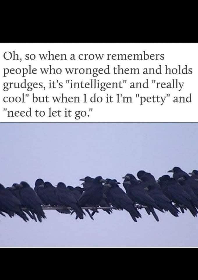 1742917932178.jpeg