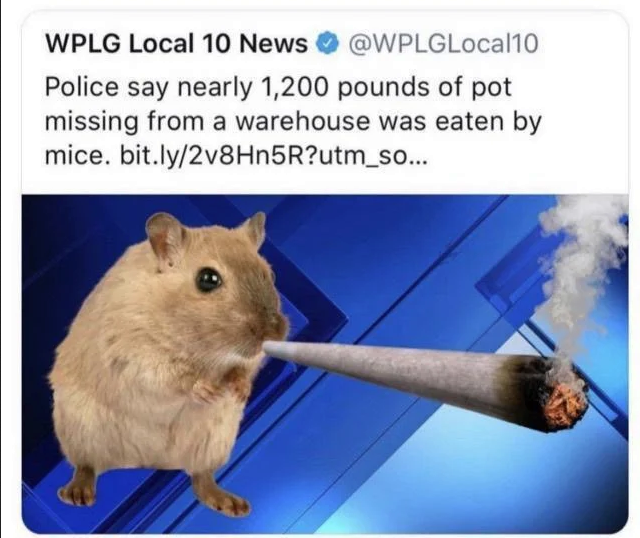 1743339174936.png