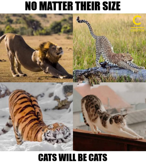 1743342797422.png