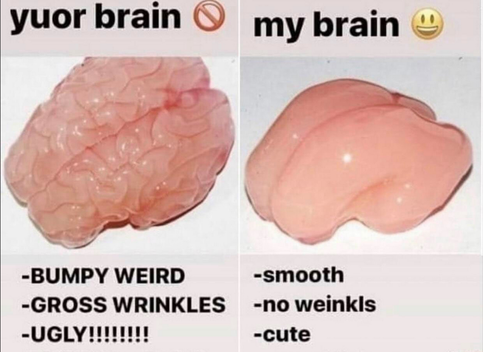 1743366240103.png