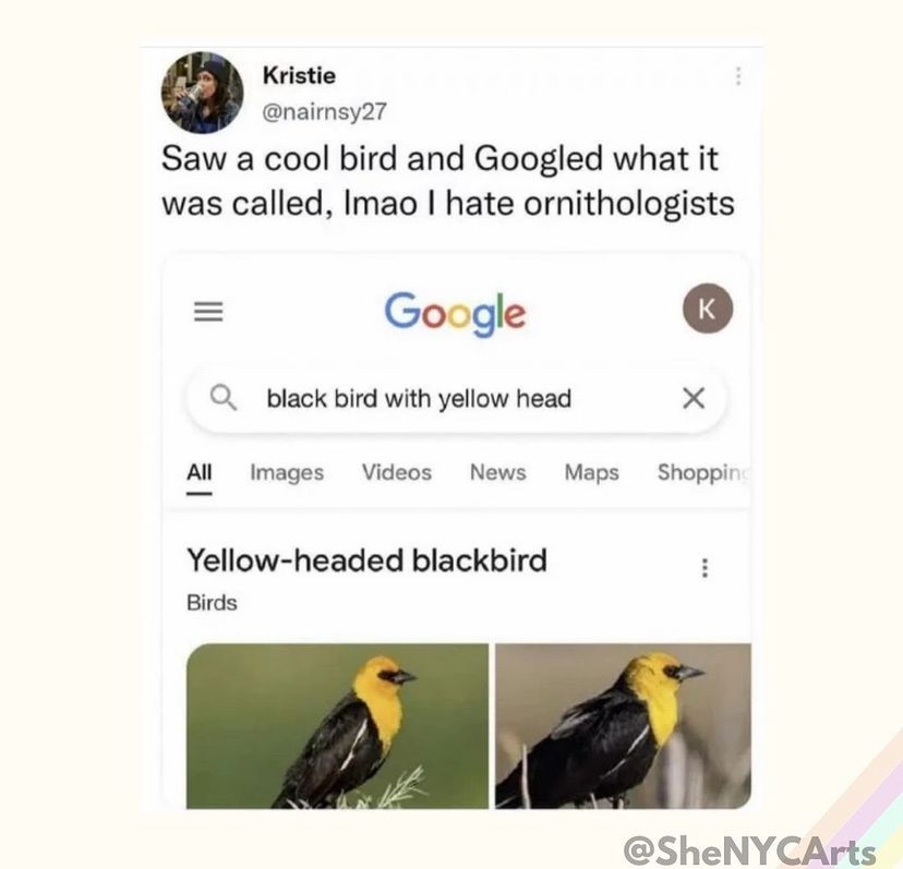 1743451108366.jpeg