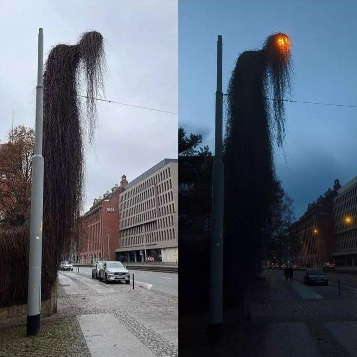 1743868457307.jpeg