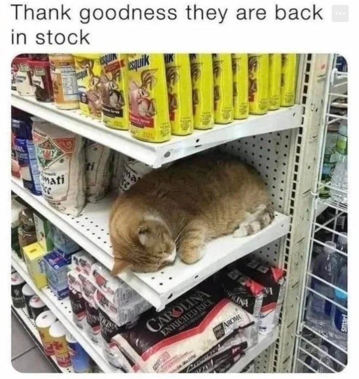 1744004970305.jpeg