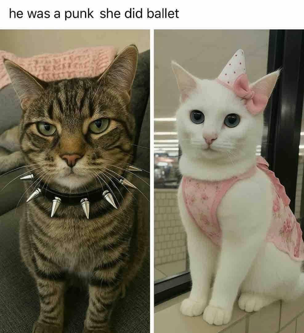1744740438445.jpeg