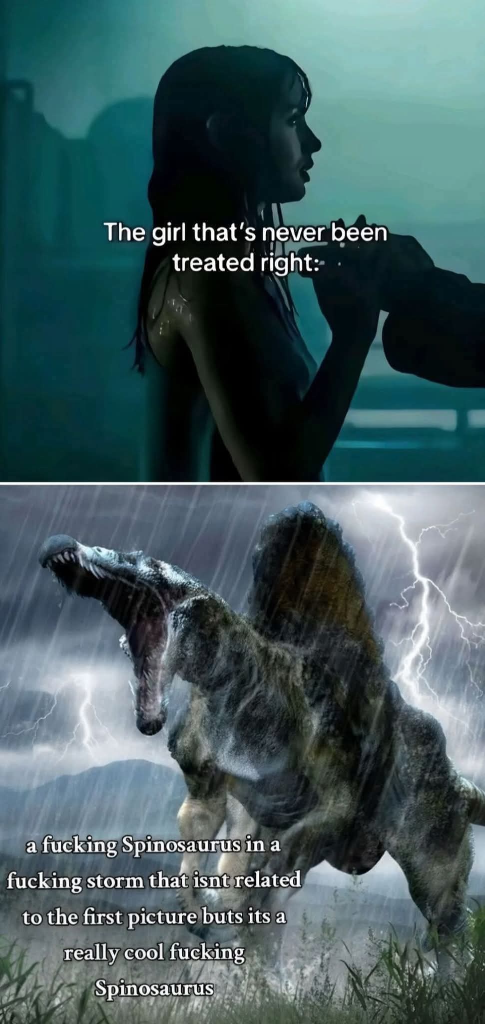 1744810579850.jpeg