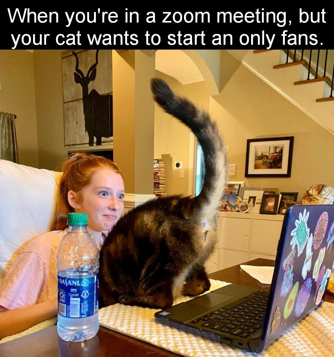 1744895743518.jpeg