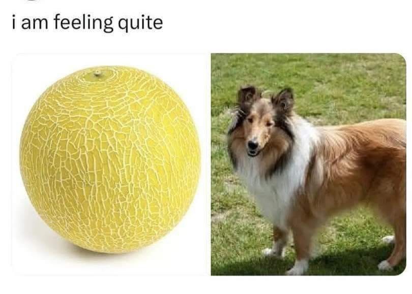 1745080796103.jpeg
