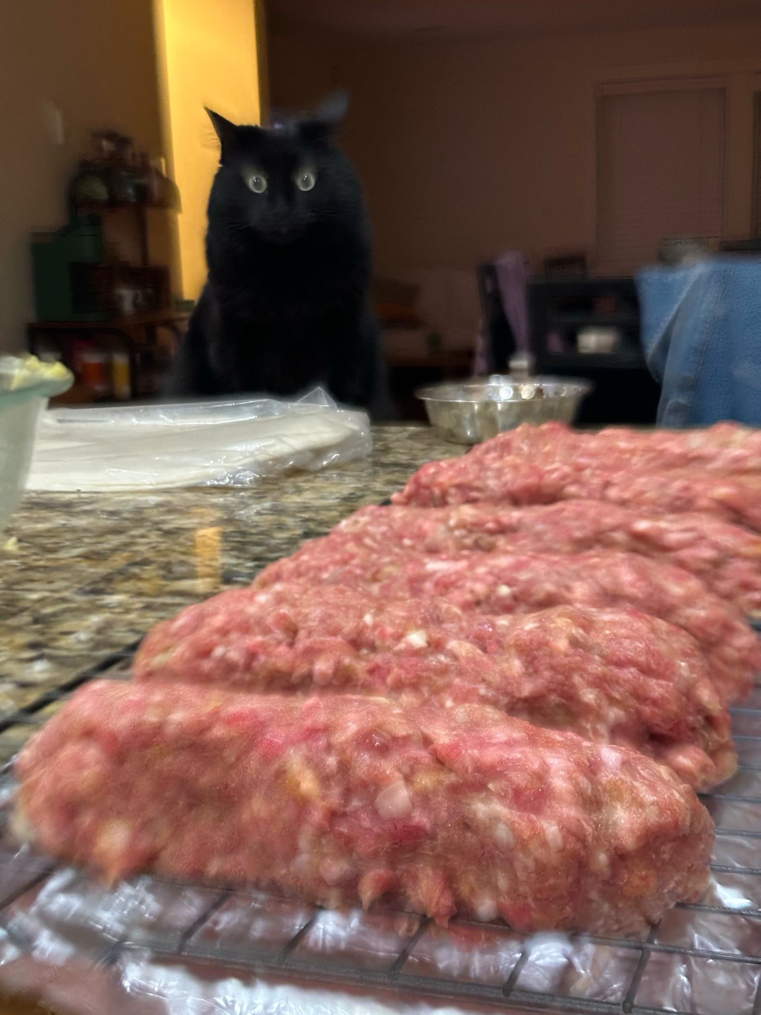 1745324376962.jpeg