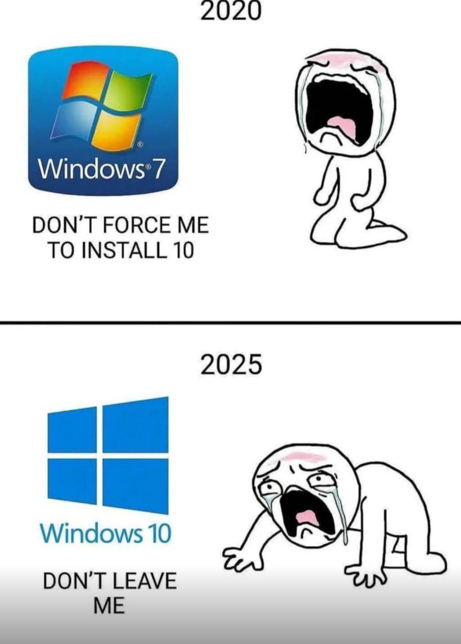 1745394256950.jpeg