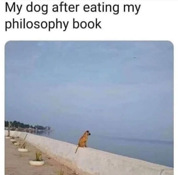 1745426147582.jpeg