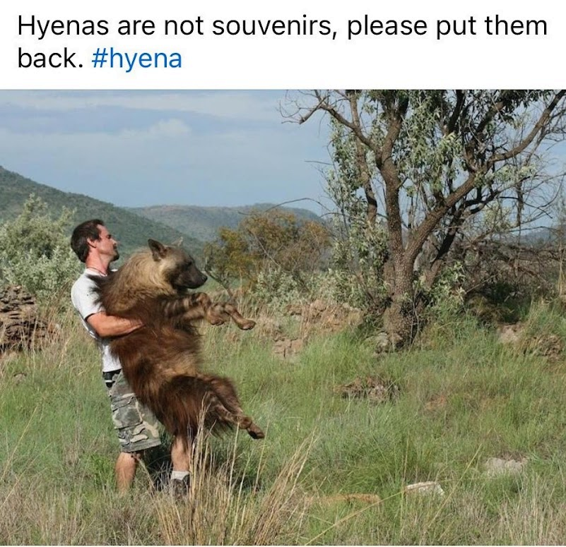 1745531821897.png