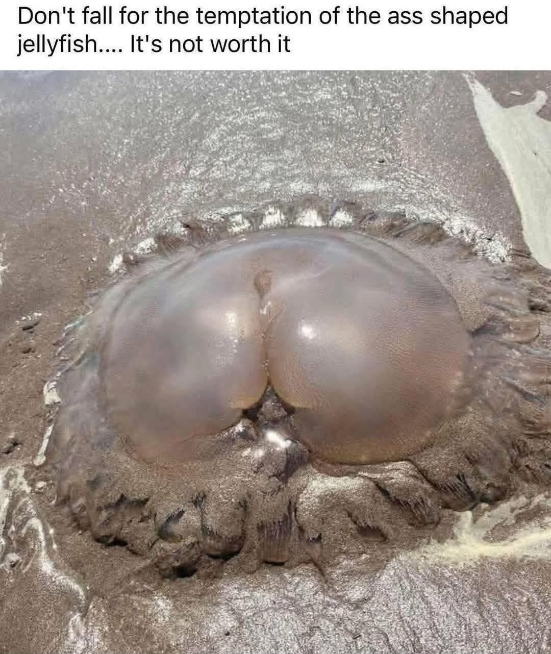 1745772235516.jpeg