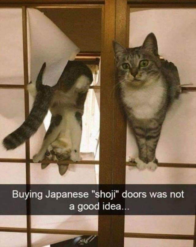 1745801392938.png