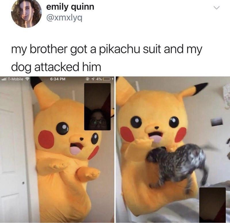 1745861837713.jpeg