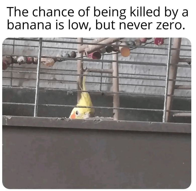 1745865903433.png