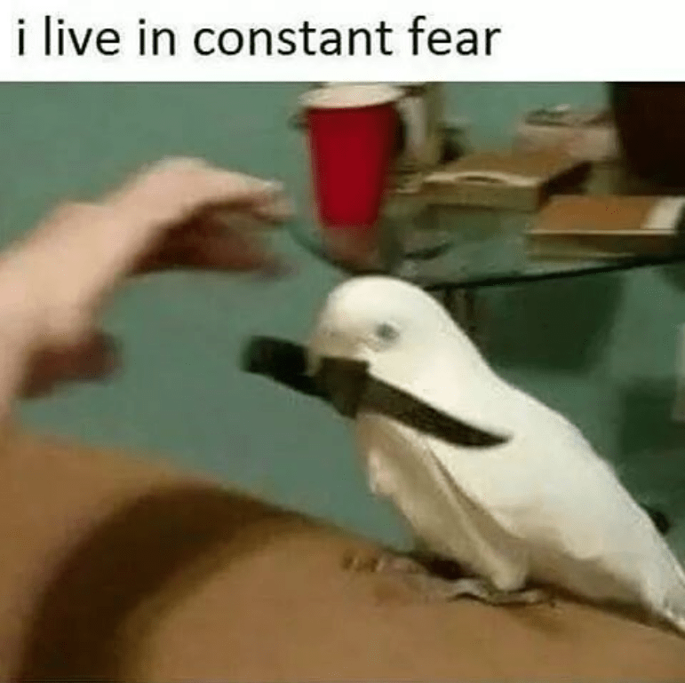 1745865919548.png