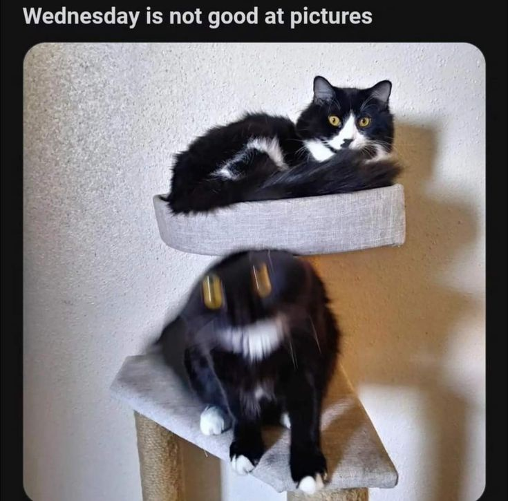 1746148147657.png